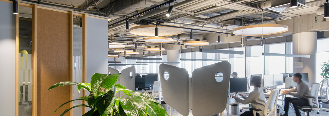 microsoft_office_tulip